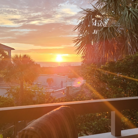 Meet your Posher, Lola - Picture 2 of 3